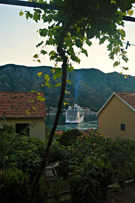 Apartments Bucin Kotor Luaran gambar